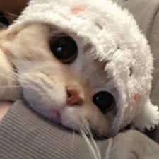 Tika Sari avatar